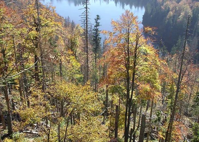 Wiesengrund