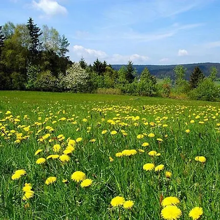 Guest house Wiesengrund Neuschoenau